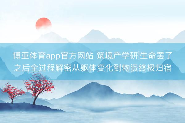 博亚体育app官方网站 筑境产学研|生命罢了之后全过程解密从躯体变化到物资终极归宿