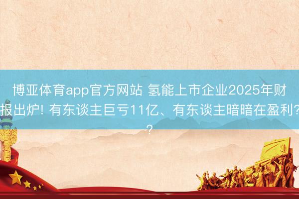 博亚体育app官方网站 氢能上市企业2025年财报出炉! 有东谈主巨亏11亿、有东谈主暗暗在盈利?