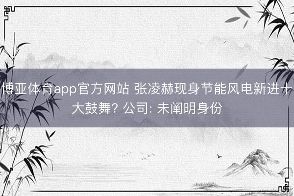 博亚体育app官方网站 张凌赫现身节能风电新进十大鼓舞? 公司: 未阐明身份