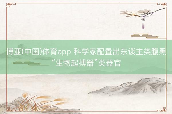 博亚(中国)体育app 科学家配置出东谈主类腹黑“生物起搏器”类器官