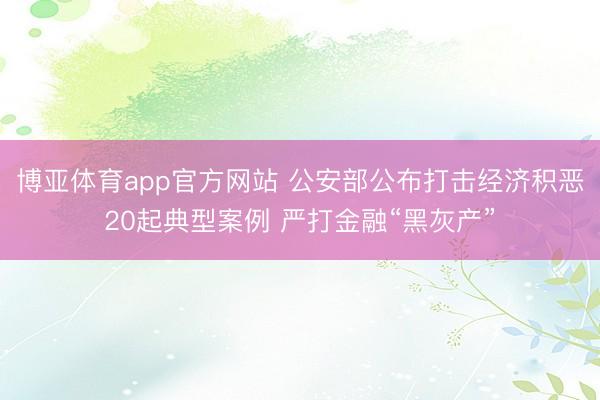 博亚体育app官方网站 公安部公布打击经济积恶20起典型案例 严打金融“黑灰产”