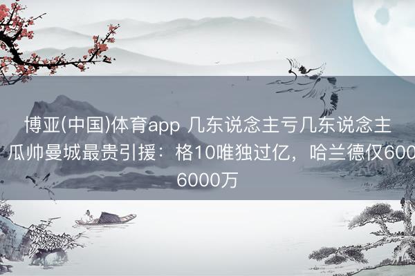 博亚(中国)体育app 几东说念主亏几东说念主赚？瓜帅曼城最贵引援：格10唯独过亿，哈兰德仅6000万