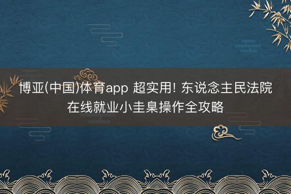 博亚(中国)体育app 超实用! 东说念主民法院在线就业小圭臬操作全攻略