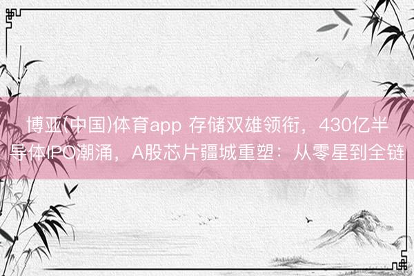 博亚(中国)体育app 存储双雄领衔，430亿半导体IPO潮涌，A股芯片疆城重塑：从零星到全链